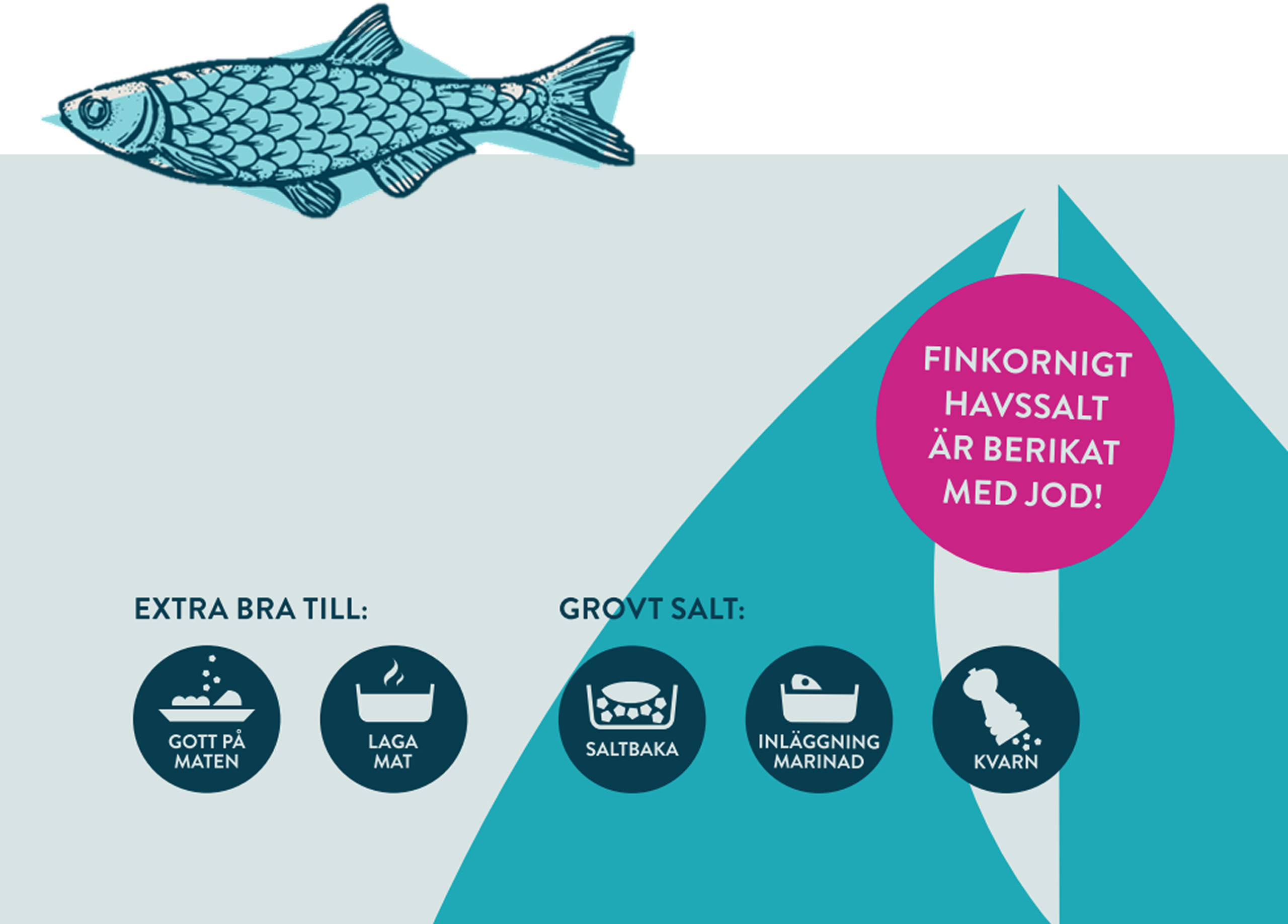 havssalt_pyramid_fisk