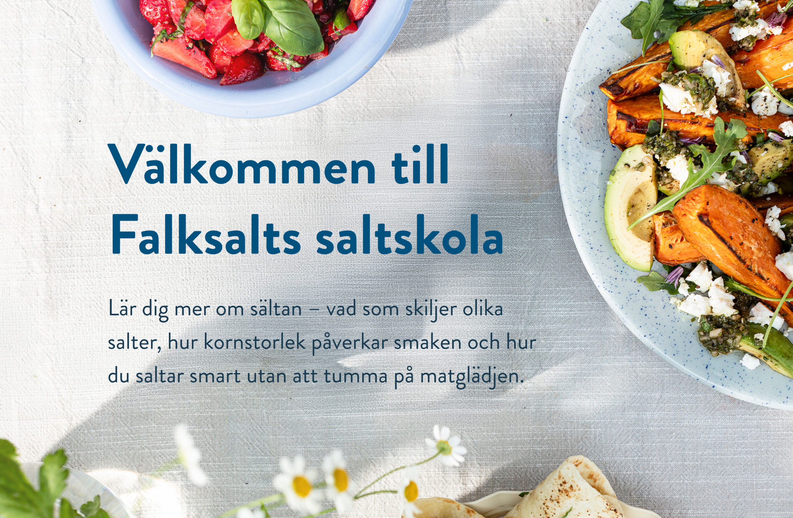 Välkommen till Falksalts saltskola Lär dig mer om sältan – vad som skiljer olika salter, hur kornstorlek påverkar smaken och hur du saltar smart utan att tumma på matglädjen.
