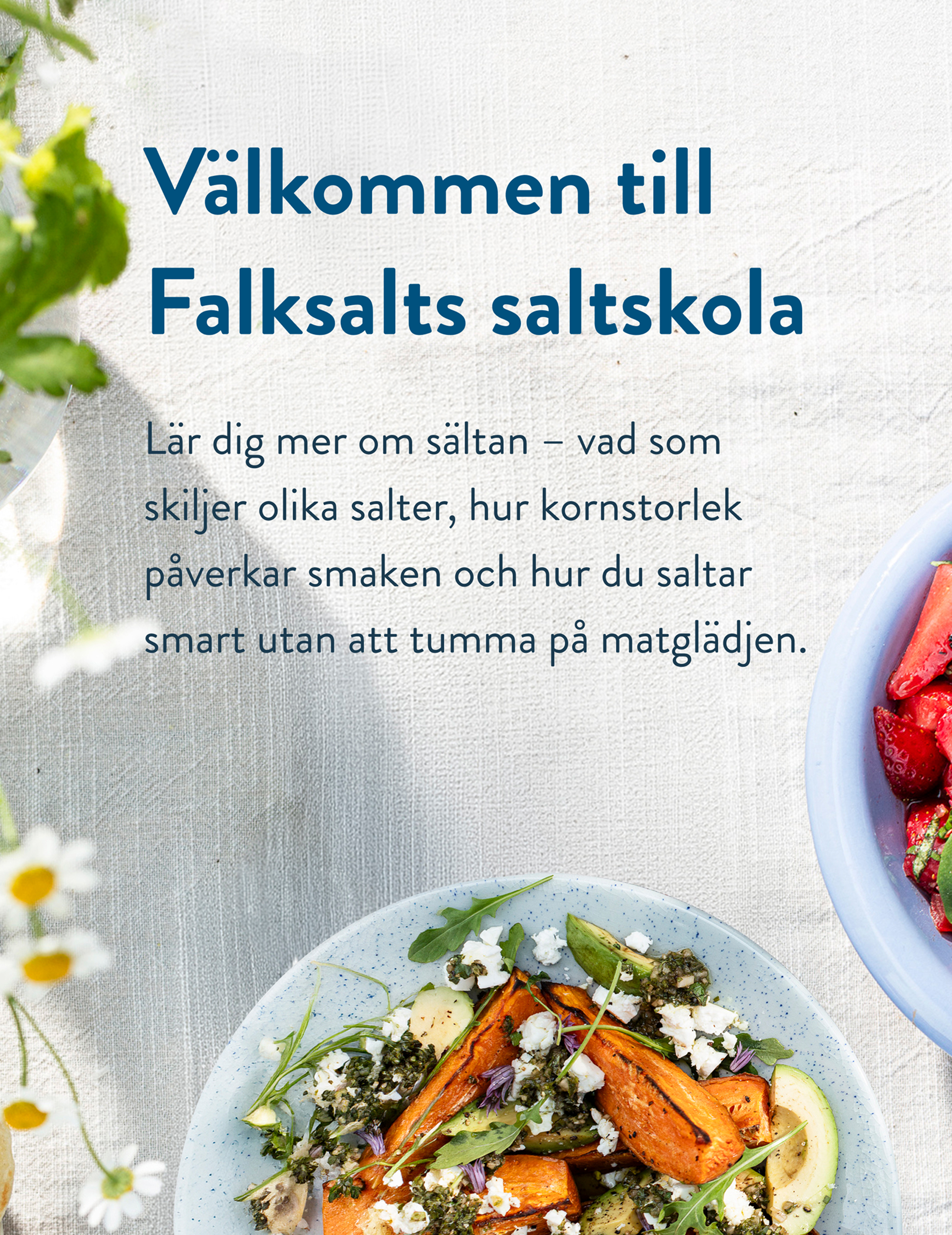 Välkommen till Falksalts saltskola. Lär dig mer om sältan – vad som skiljer olika salter, hur kornstorlek påverkar smaken och hur du saltar smart utan att tumma på matglädjen.