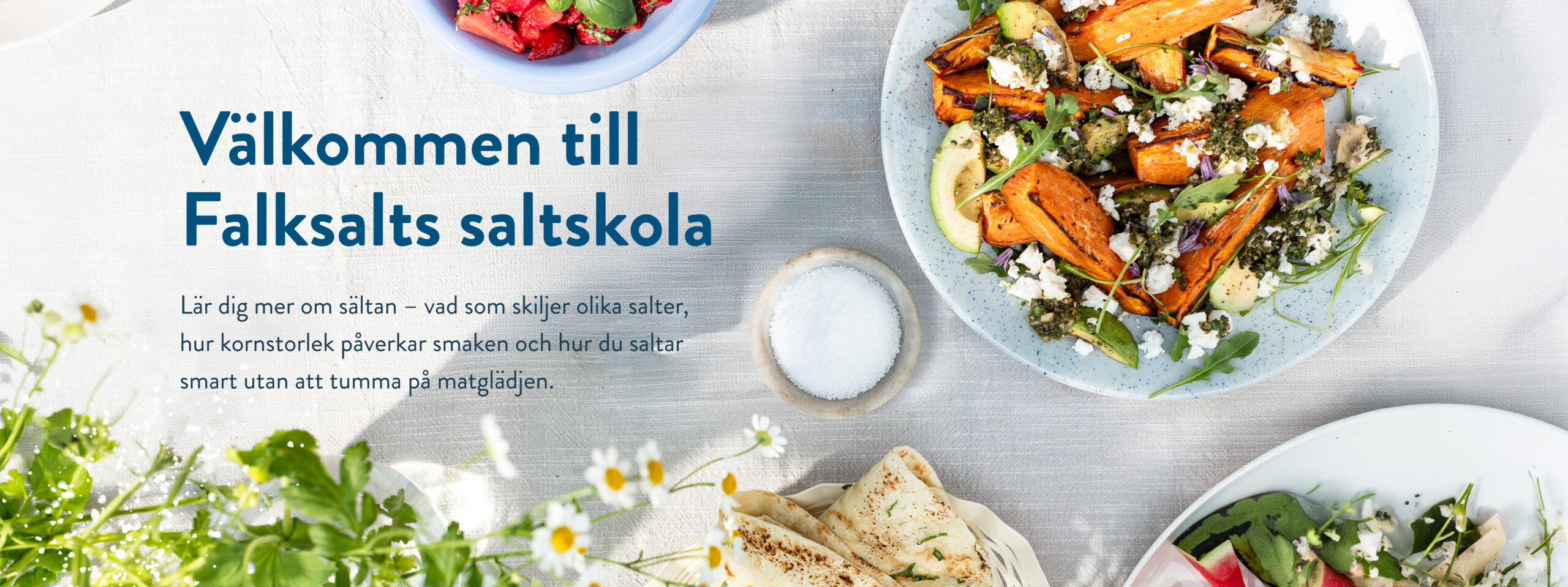 Välkommen till Falksalts saltskola Lär dig mer om sältan – vad som skiljer olika salter, hur kornstorlek påverkar smaken och hur du saltar smart utan att tumma på matglädjen.